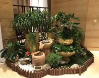 室内植物2